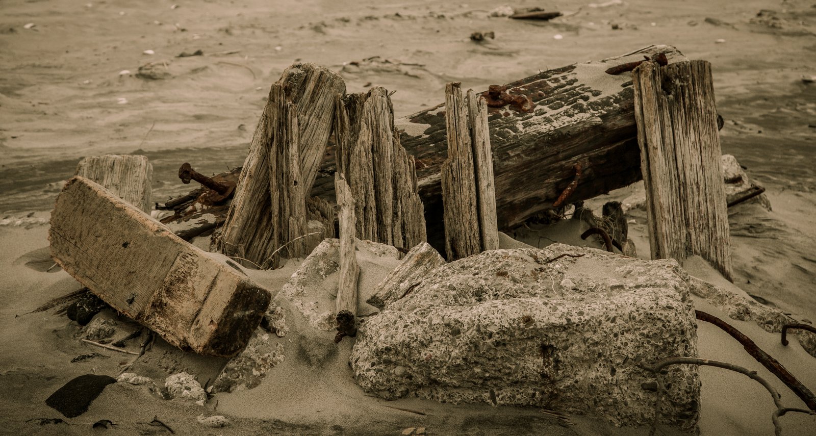 art-of-sandy-mo-seagate 2-46.jpg